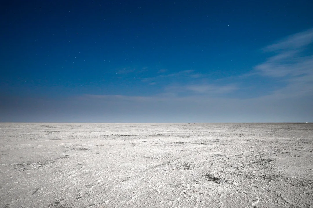 Rann Utsav Gallery 18
