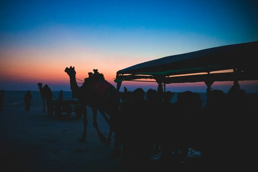 Rann Utsav Gallery 21